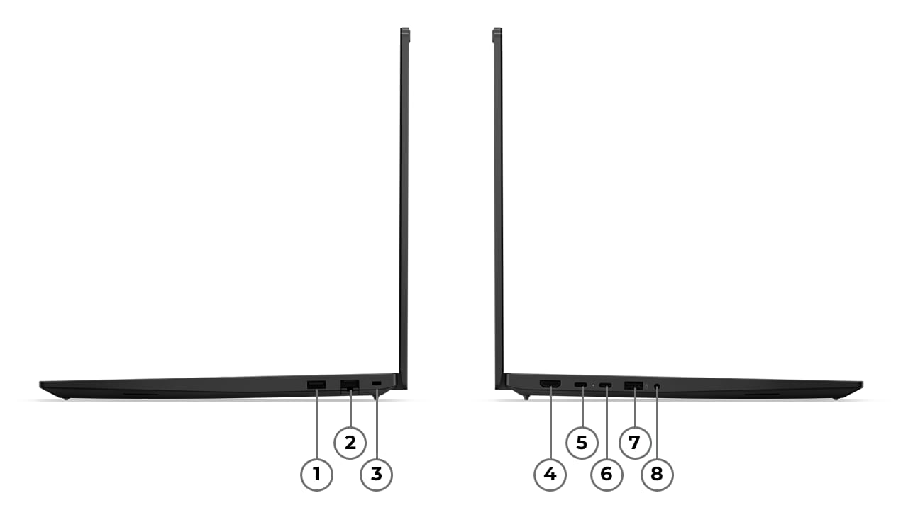 Beschreibung des Bildes